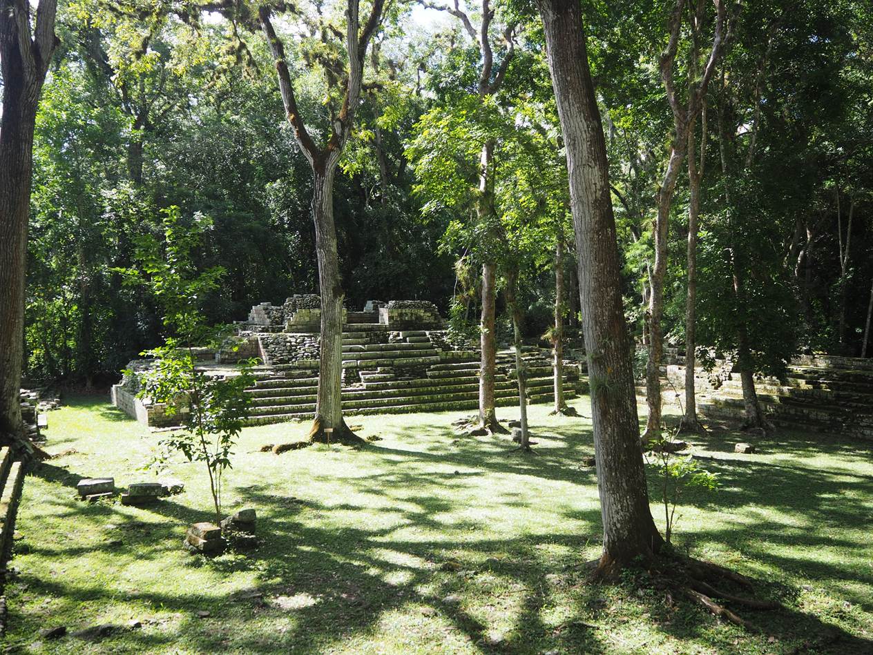 A green grass field with trees and a stone structure

AI-generated content may be incorrect.