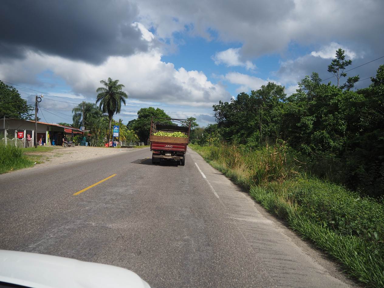 A truck on the road

AI-generated content may be incorrect.