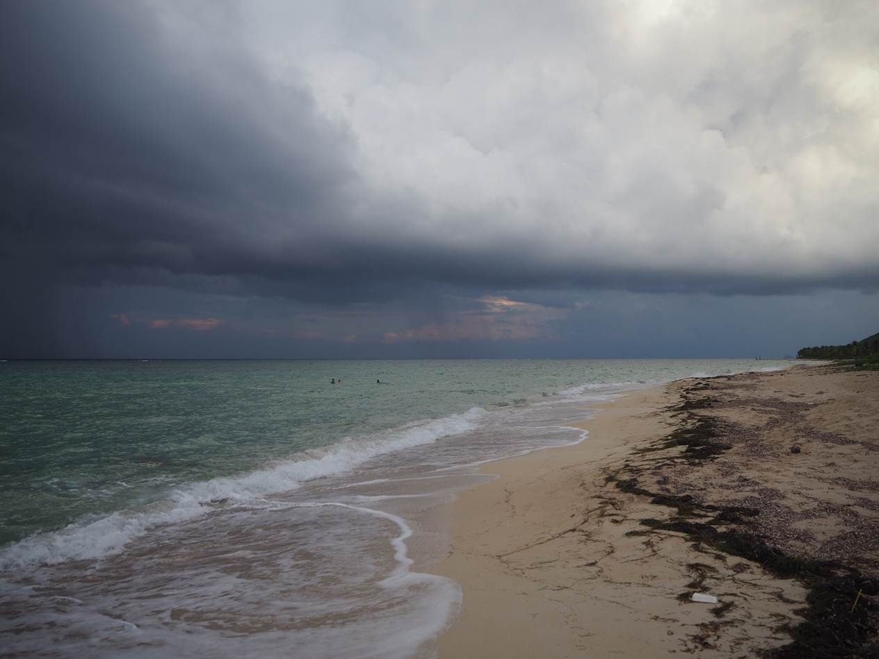 A beach with waves crashing on the shore

AI-generated content may be incorrect.