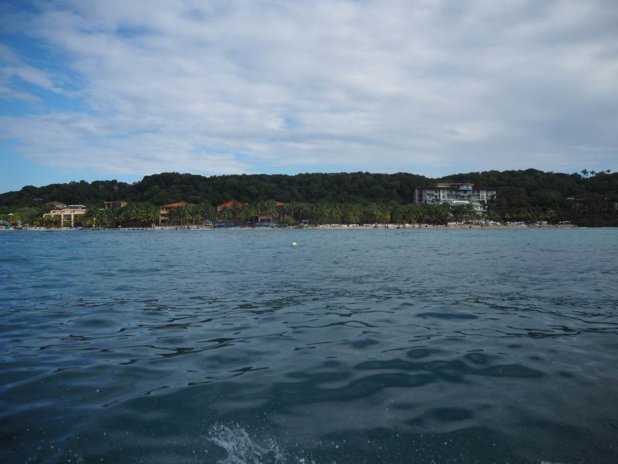 A body of water with trees in the background

AI-generated content may be incorrect.